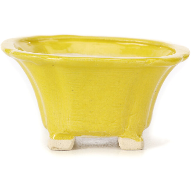 Maceta de bonsái amarilla cuadrada de Seto - 90 x 90 x 45 mm