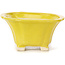 Quadratische gelbe Bonsaischale von Seto - 90 x 90 x 45 mm