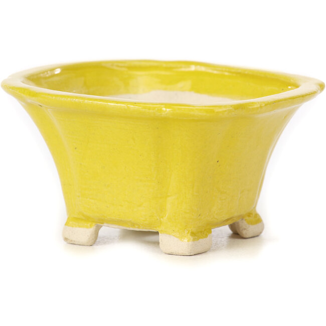 Square yellow bonsai pot by Seto - 90 x 90 x 45 mm