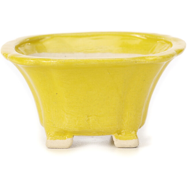 Vaso bonsai quadrato giallo di Seto - 90 x 90 x 45 mm