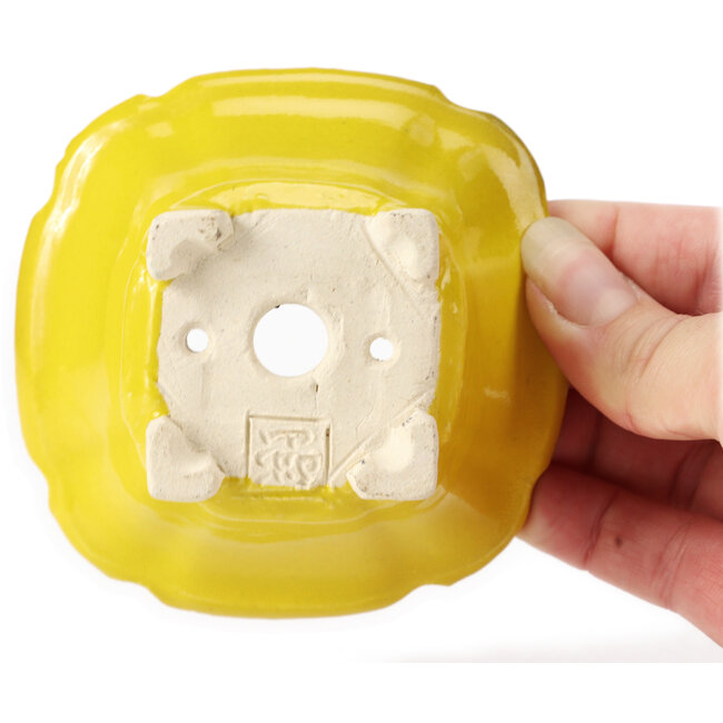 Vaso bonsai quadrato giallo di Seto - 95 x 95 x 50 mm