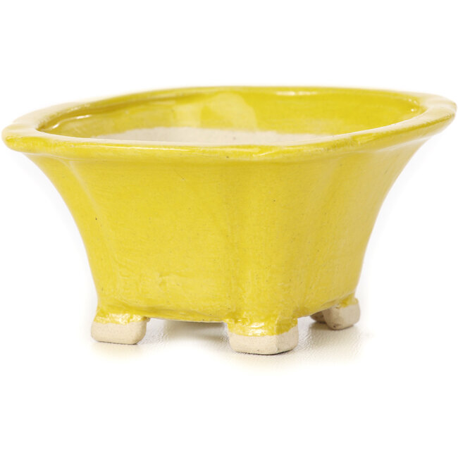 Maceta de bonsái amarilla cuadrada de Seto - 90 x 90 x 45 mm