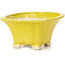 Maceta de bonsái amarilla cuadrada de Seto - 90 x 90 x 45 mm