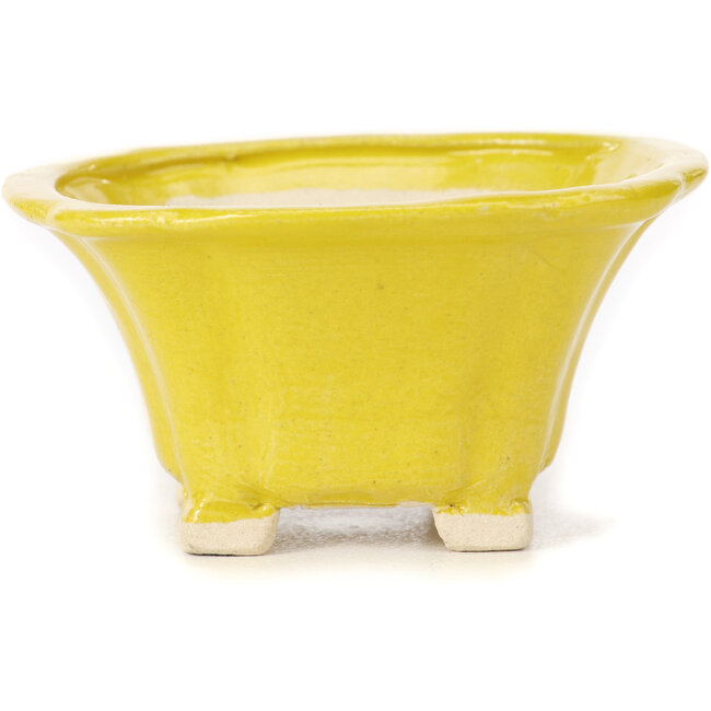 Quadratische gelbe Bonsaischale von Seto - 90 x 90 x 45 mm