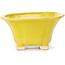 Square yellow bonsai pot by Seto - 90 x 90 x 45 mm