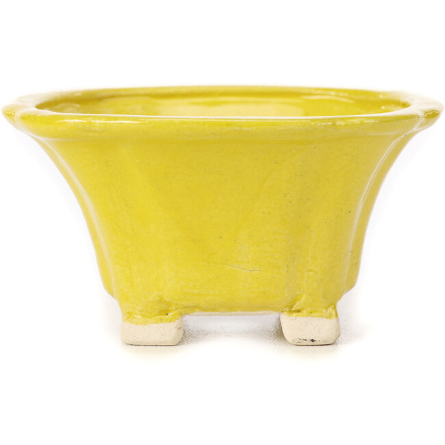 Square yellow bonsai pot by Seto - 90 x 90 x 45 mm