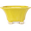 Square yellow bonsai pot by Seto - 90 x 90 x 45 mm