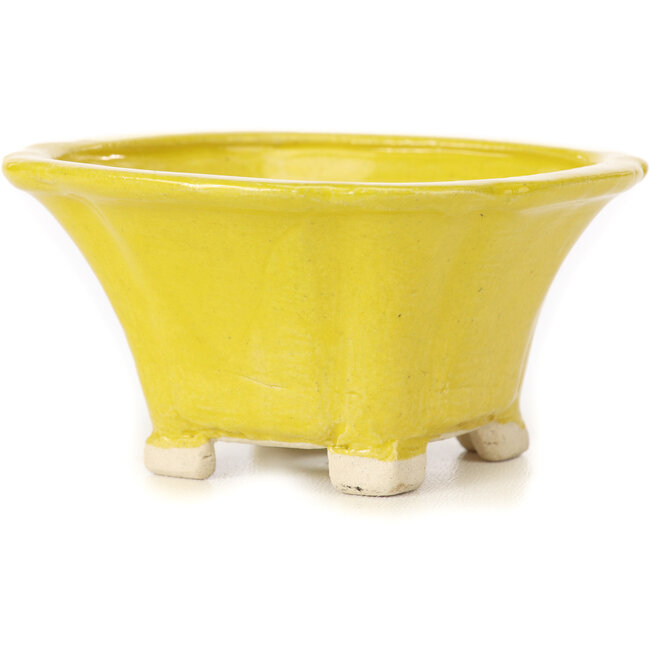 Maceta de bonsái amarilla cuadrada de Seto - 90 x 90 x 45 mm