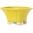 Maceta de bonsái amarilla cuadrada de Seto - 90 x 90 x 45 mm