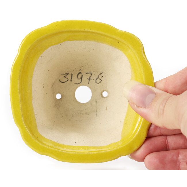 Pot à bonsaï carré jaune par Seto - 90 x 90 x 45 mm