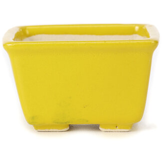 Seto Pot à bonsaï jaune carré de 80 mm par Seto, Japon