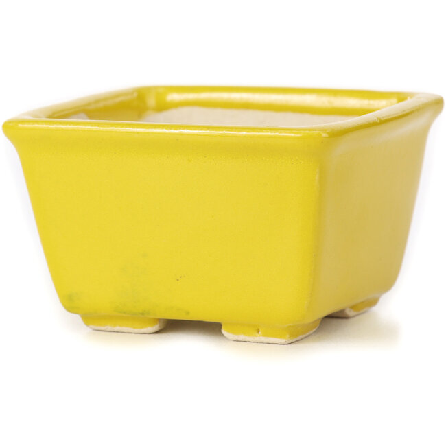 Quadratische gelbe Bonsaischale von Seto - 80 x 80 x 50 mm