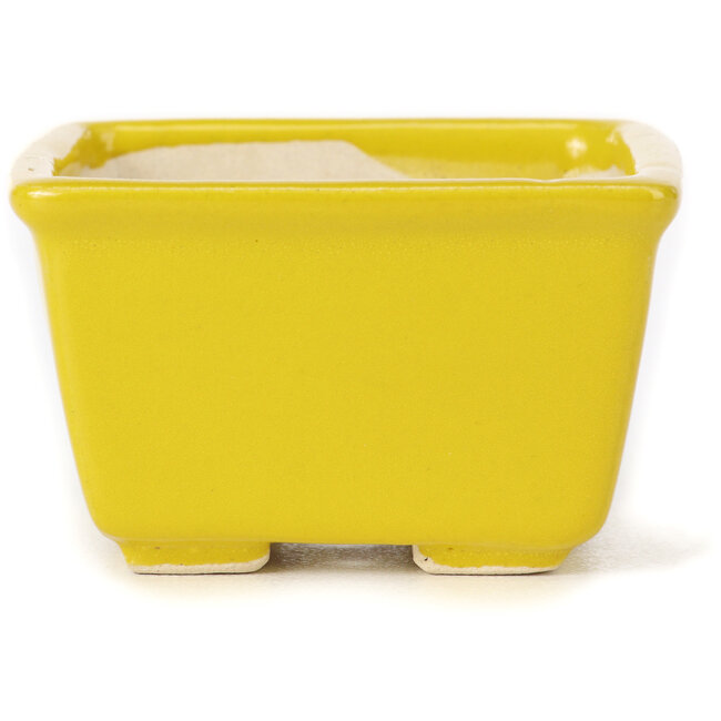 Vierkante gele bonsaipot van Seto - 80 x 80 x 50 mm