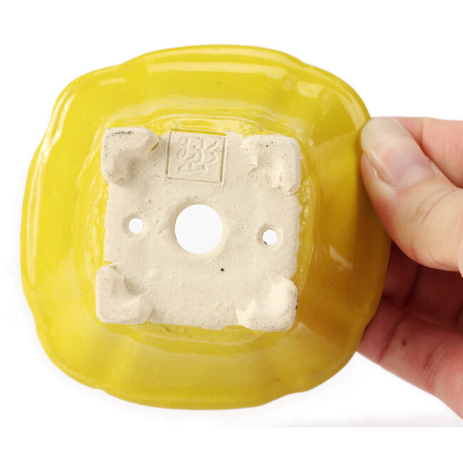 Vaso bonsai quadrato giallo di Seto - 90 x 90 x 45 mm