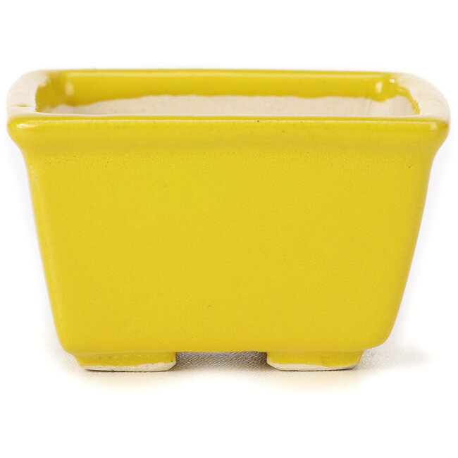 Square yellow bonsai pot by Seto - 80 x 80 x 50 mm