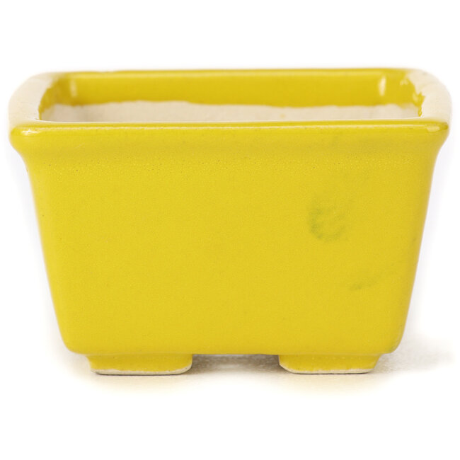 Pot à bonsaï carré jaune par Seto - 80 x 80 x 50 mm