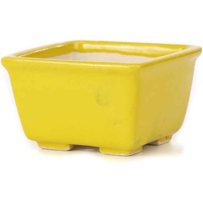 Vierkante gele bonsaipot van Seto - 80 x 80 x 50 mm