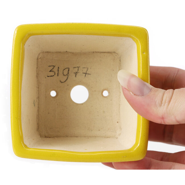 Square yellow bonsai pot by Seto - 80 x 80 x 50 mm