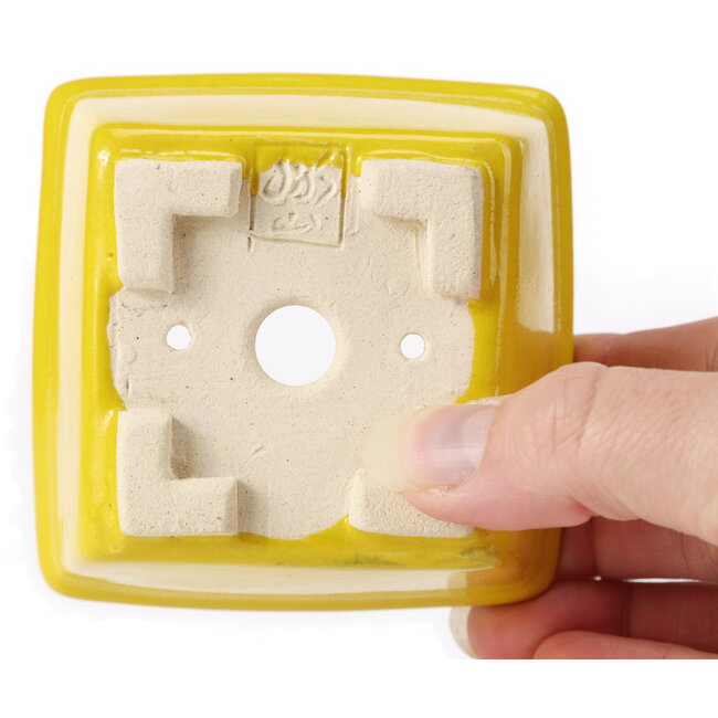 Square yellow bonsai pot by Seto - 80 x 80 x 50 mm