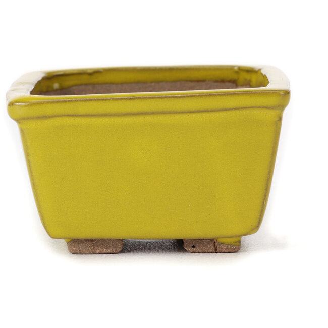 Square yellow bonsai pot by Seto - 80 x 80 x 45 mm