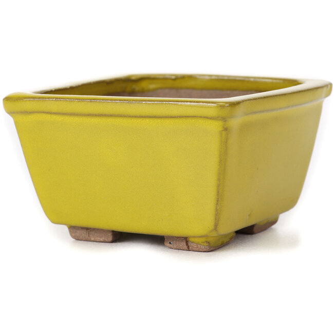 Square yellow bonsai pot by Seto - 80 x 80 x 45 mm