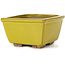 Vaso bonsai quadrato giallo di Seto - 80 x 80 x 45 mm