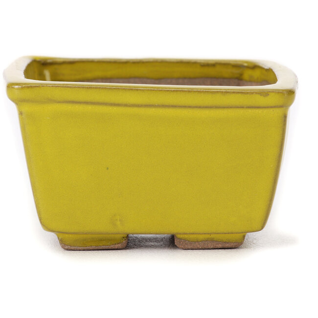 Vierkante gele bonsaipot van Seto - 80 x 80 x 45 mm