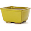 Vaso bonsai quadrato giallo di Seto - 80 x 80 x 45 mm