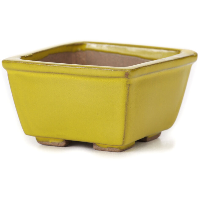 Square yellow bonsai pot by Seto - 80 x 80 x 45 mm