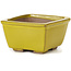 Square yellow bonsai pot by Seto - 80 x 80 x 45 mm