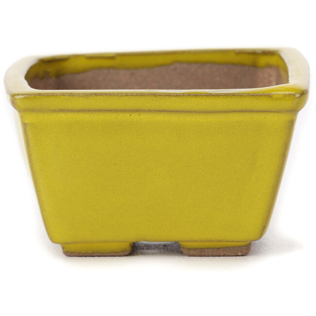 Pot à bonsaï carré jaune par Seto - 80 x 80 x 45 mm