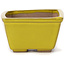 Pot à bonsaï carré jaune par Seto - 80 x 80 x 45 mm