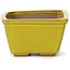 Square yellow bonsai pot by Seto - 80 x 80 x 45 mm