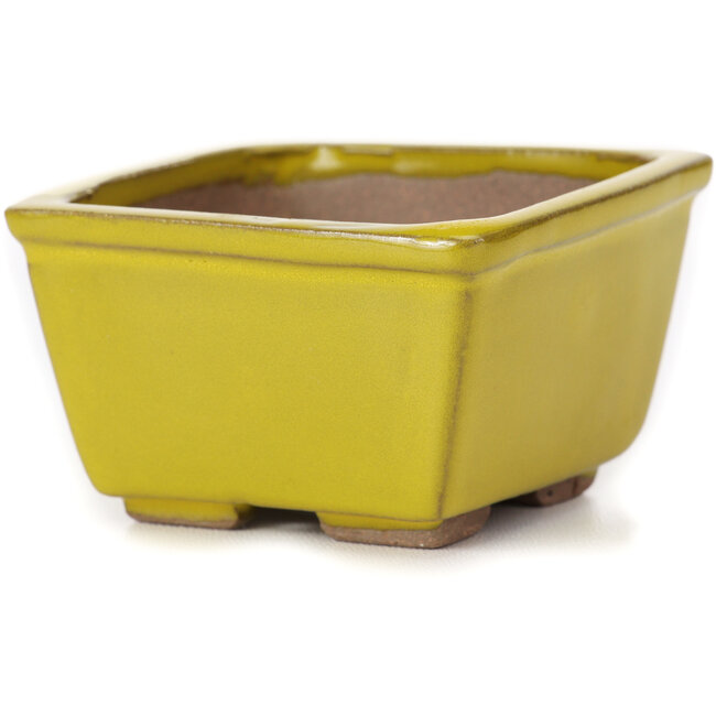 Vierkante gele bonsaipot van Seto - 80 x 80 x 45 mm