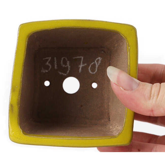 Maceta de bonsái amarilla cuadrada de Seto - 80 x 80 x 45 mm