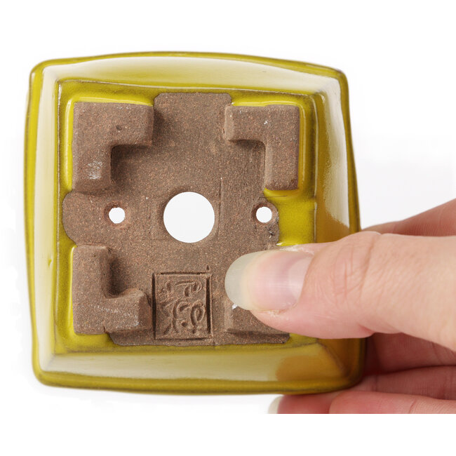 Pot à bonsaï carré jaune par Seto - 80 x 80 x 45 mm