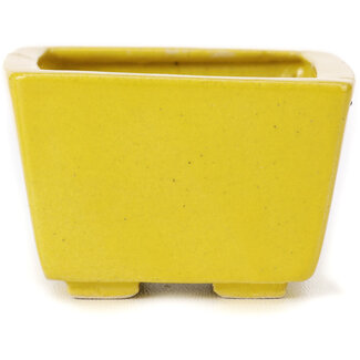 Seto Pot à bonsaï jaune carré de 80 mm par Seto, Japon