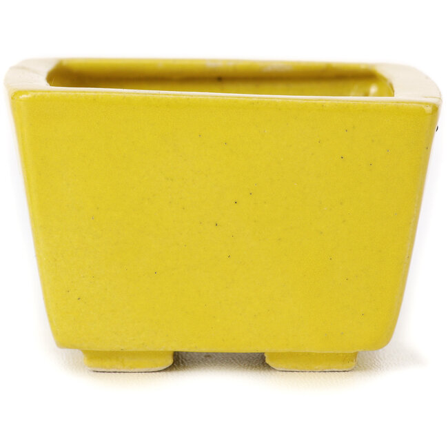 Square yellow bonsai pot by Seto - 80 x 75 x 50 mm