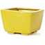 Pot à bonsaï carré jaune par Seto - 80 x 75 x 50 mm