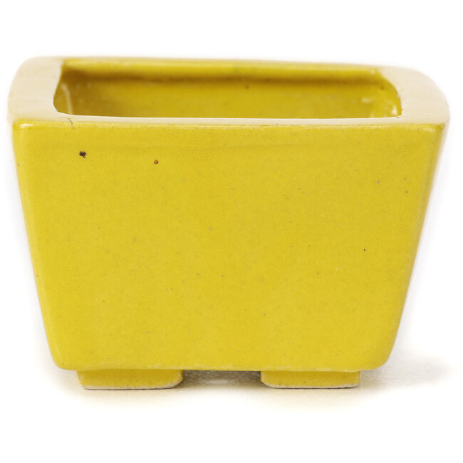 Vaso bonsai quadrato giallo di Seto - 80 x 75 x 50 mm