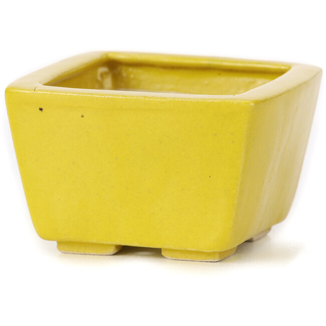 Maceta de bonsái amarilla cuadrada de Seto - 80 x 75 x 50 mm