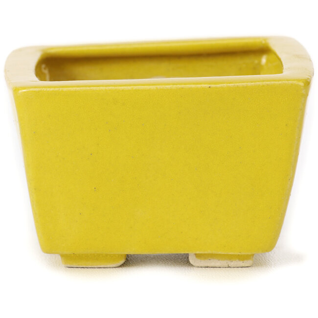 Maceta de bonsái amarilla cuadrada de Seto - 80 x 75 x 50 mm
