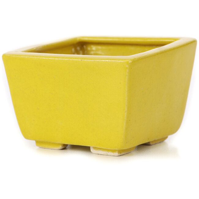 Quadratische gelbe Bonsaischale von Seto - 80 x 75 x 50 mm