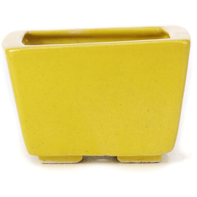 Quadratische gelbe Bonsaischale von Seto - 80 x 75 x 50 mm