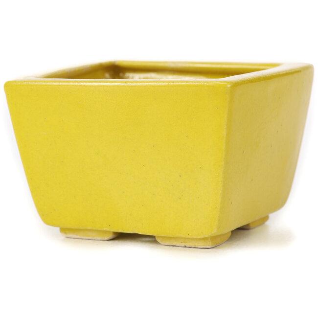Pot à bonsaï carré jaune par Seto - 80 x 75 x 50 mm