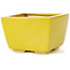 Square yellow bonsai pot by Seto - 80 x 75 x 50 mm