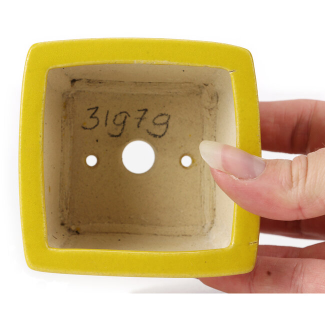 Pot à bonsaï carré jaune par Seto - 80 x 75 x 50 mm