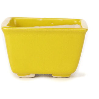 Seto Pot à bonsaï jaune carré de 80 mm par Seto, Japon