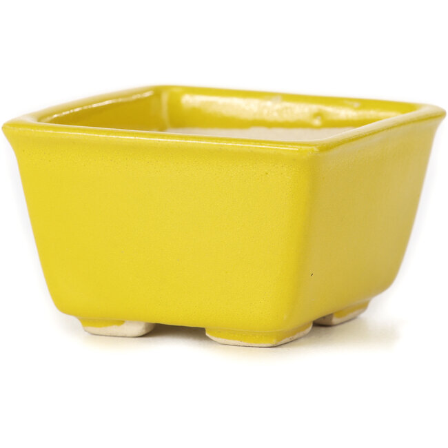 Maceta de bonsái amarilla cuadrada de Seto - 80 x 80 x 45 mm