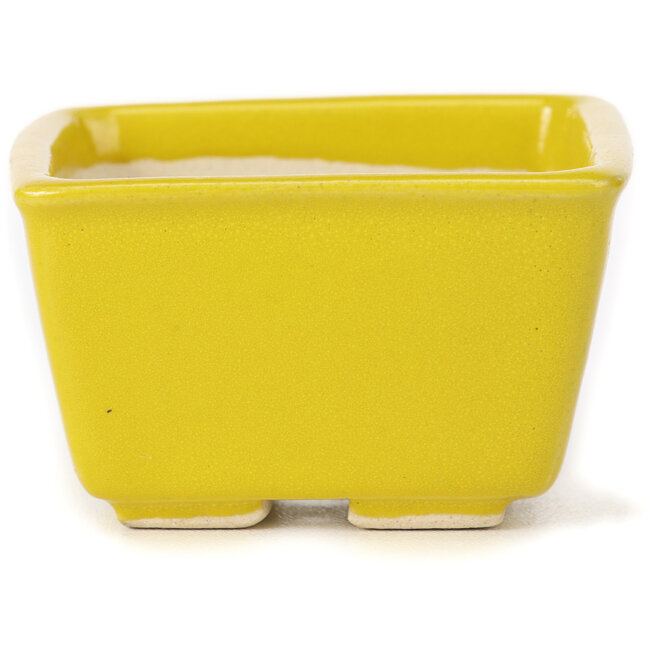 Pot à bonsaï carré jaune par Seto - 80 x 80 x 45 mm